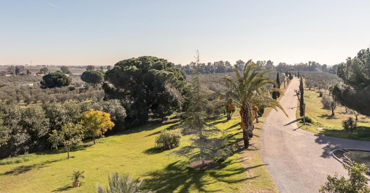 Hacienda las tres niñas Puebla del Río Exterior foto